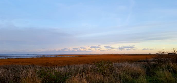 Sandwich Saltmarsh