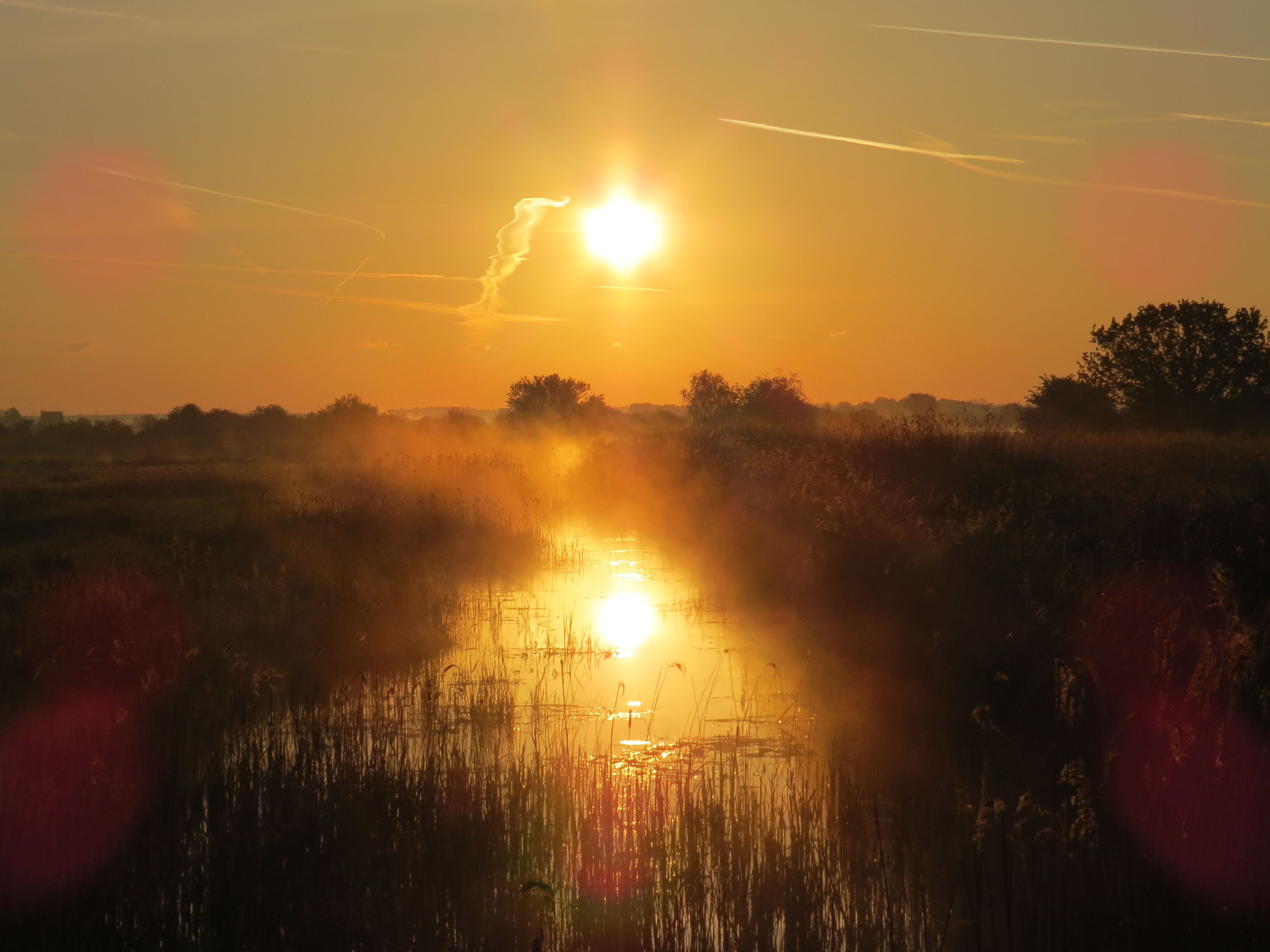 Low sun over Kentish marshland