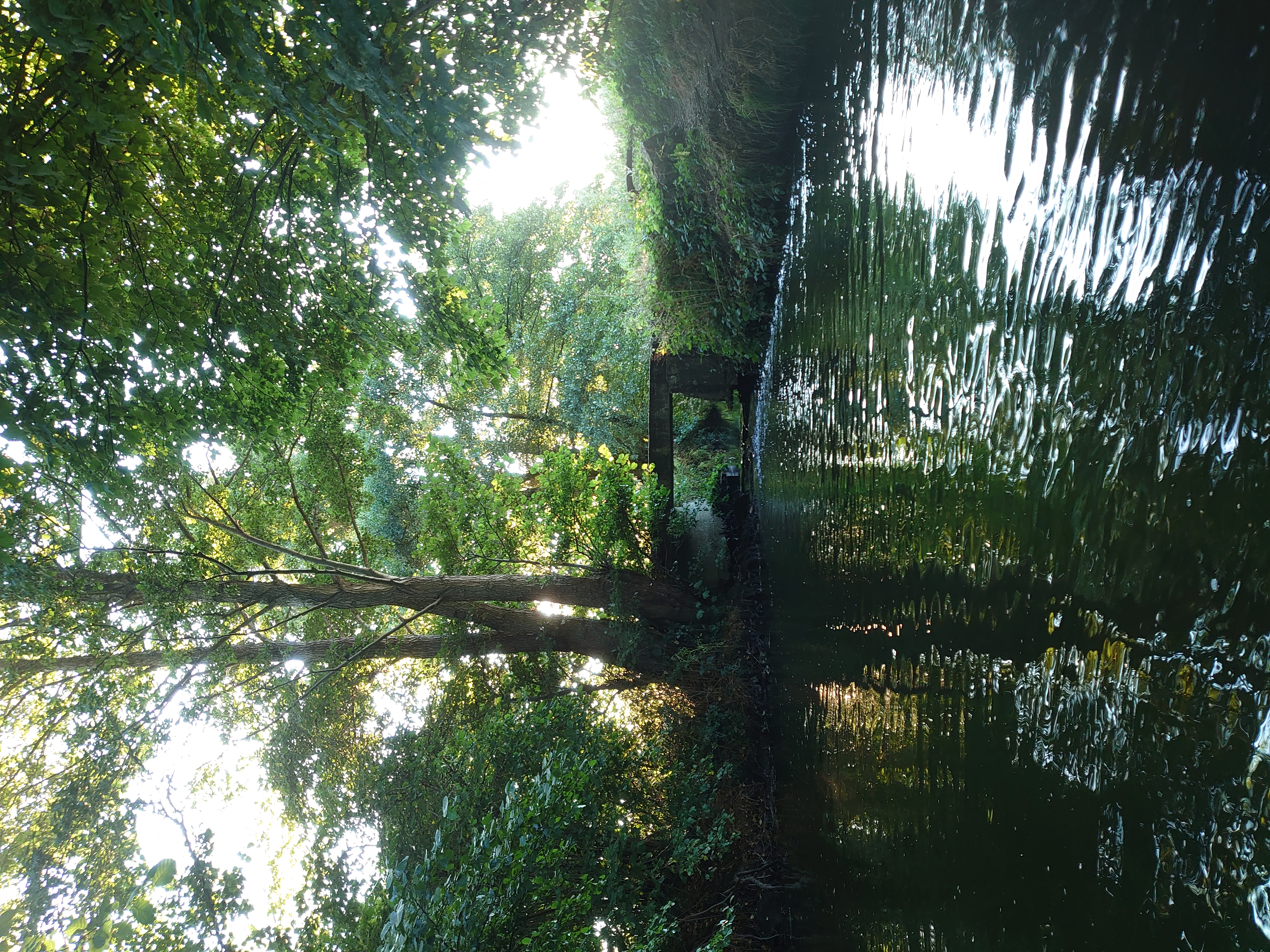 River Stour at Hothfield, Bockhanger Farm