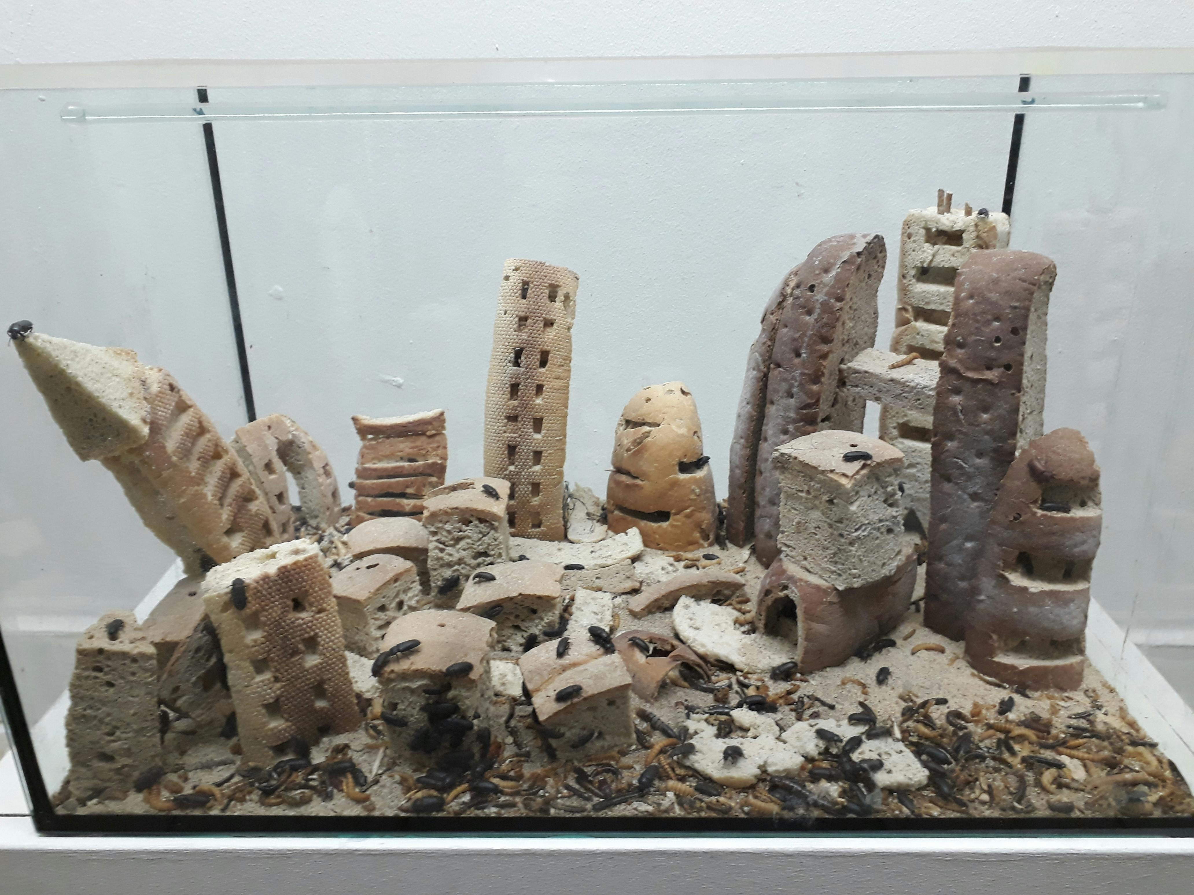 Mad Bread City