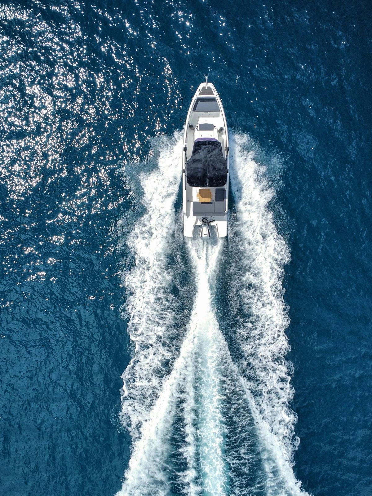 Boat trip with Blue Shark Tours