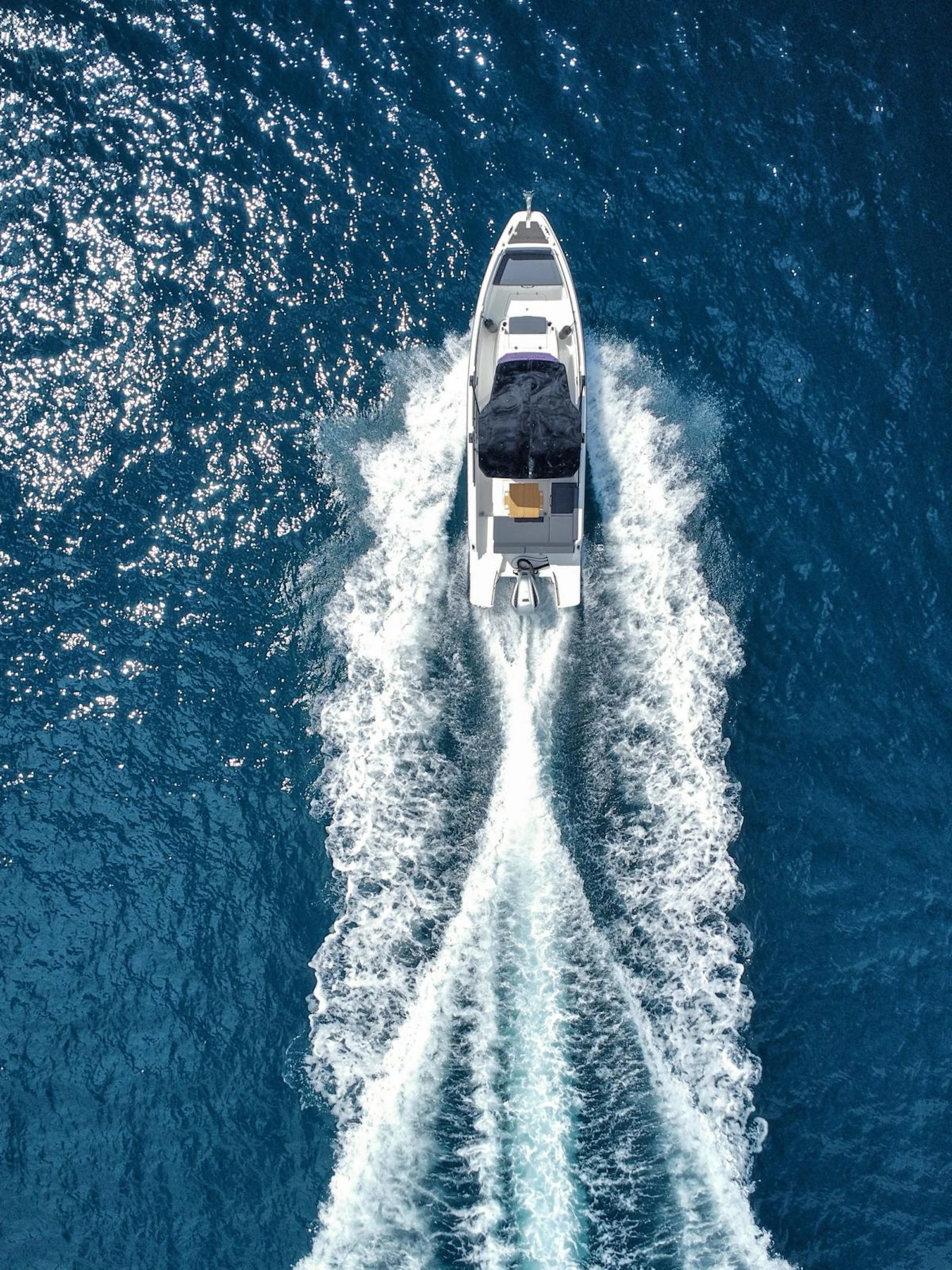 Boat trip with Blue Shark Tours
