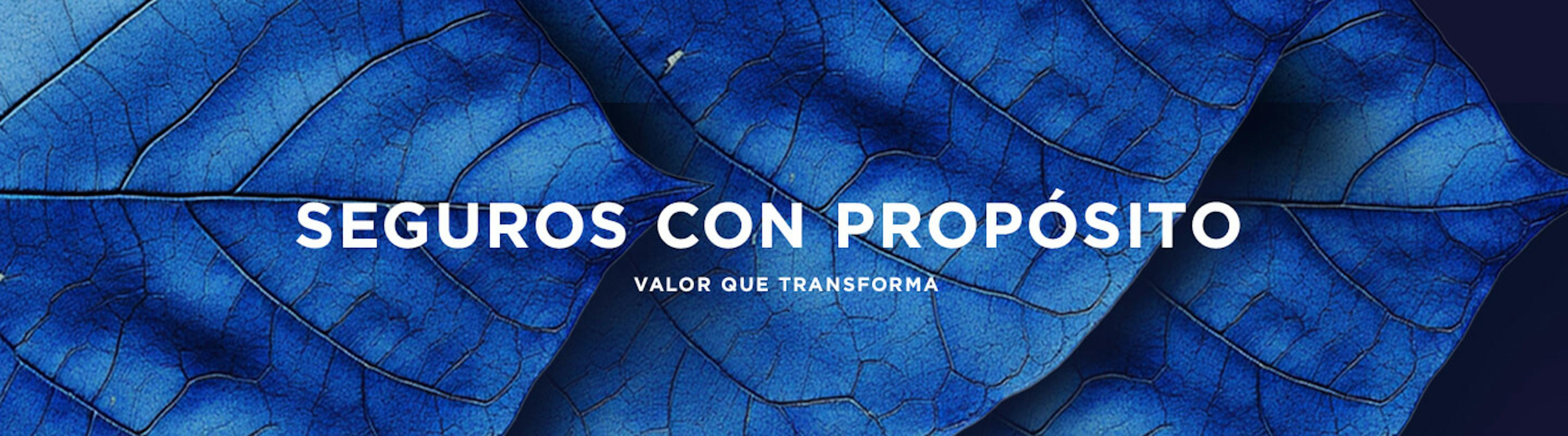 SEGUROS CON PROPOSITO