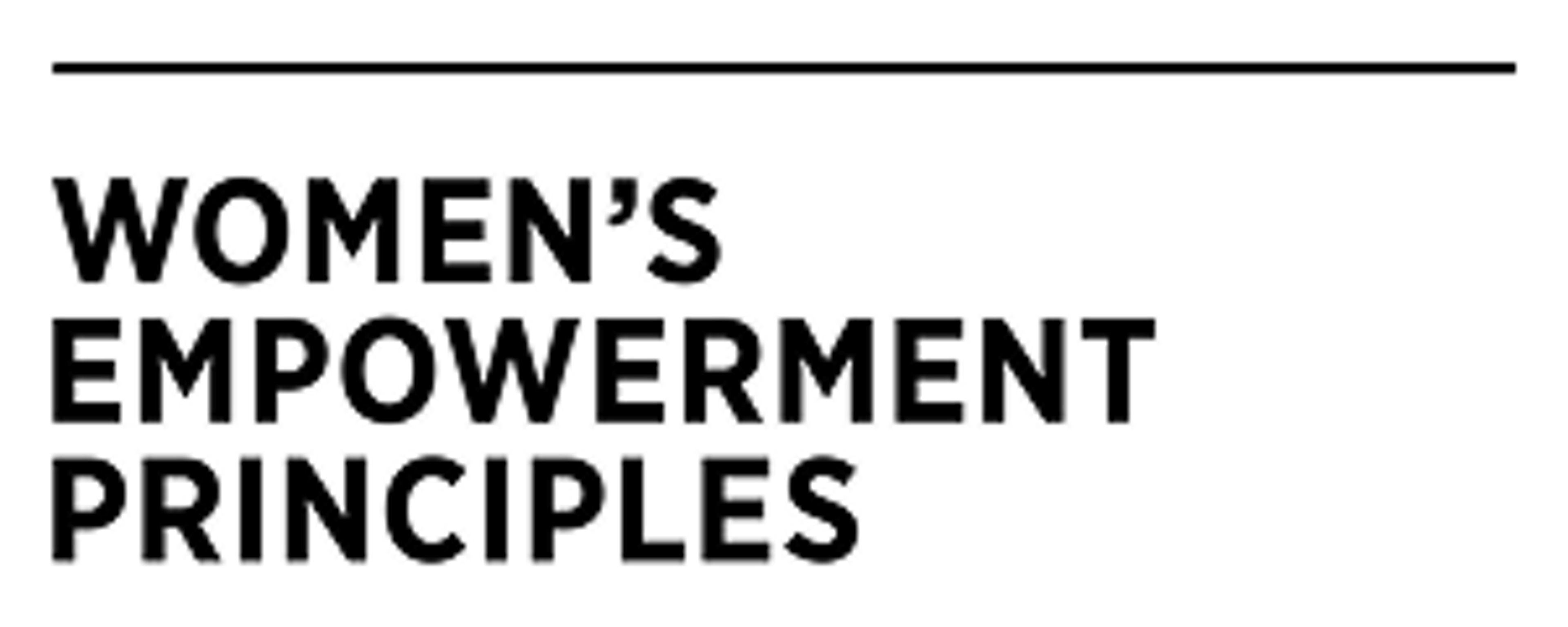 womens empowerment principles