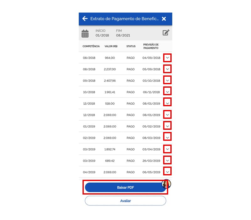 Meu INSS exibindo o botão de download do extrato de pagamento.