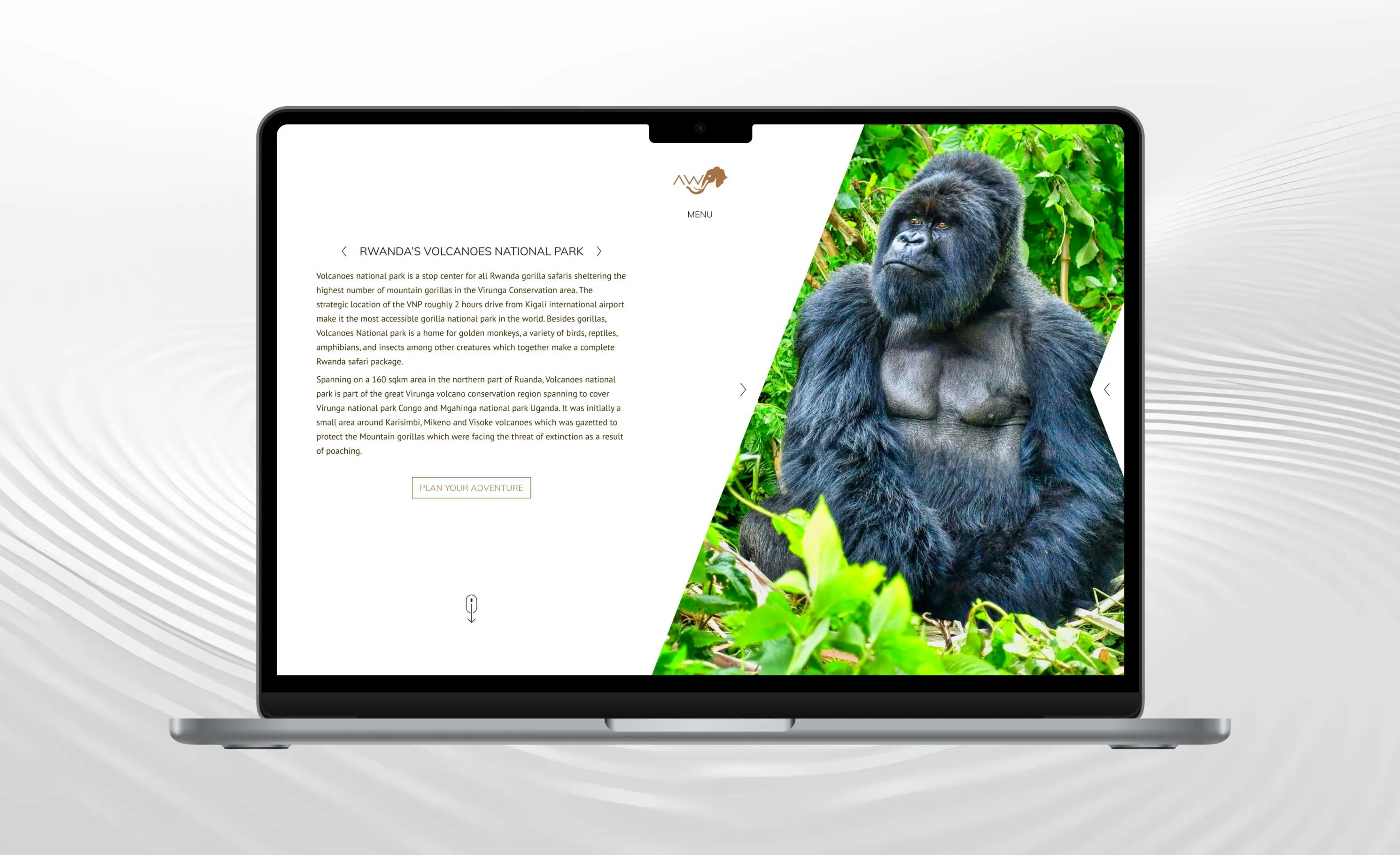 africa wilderness journey custom web development