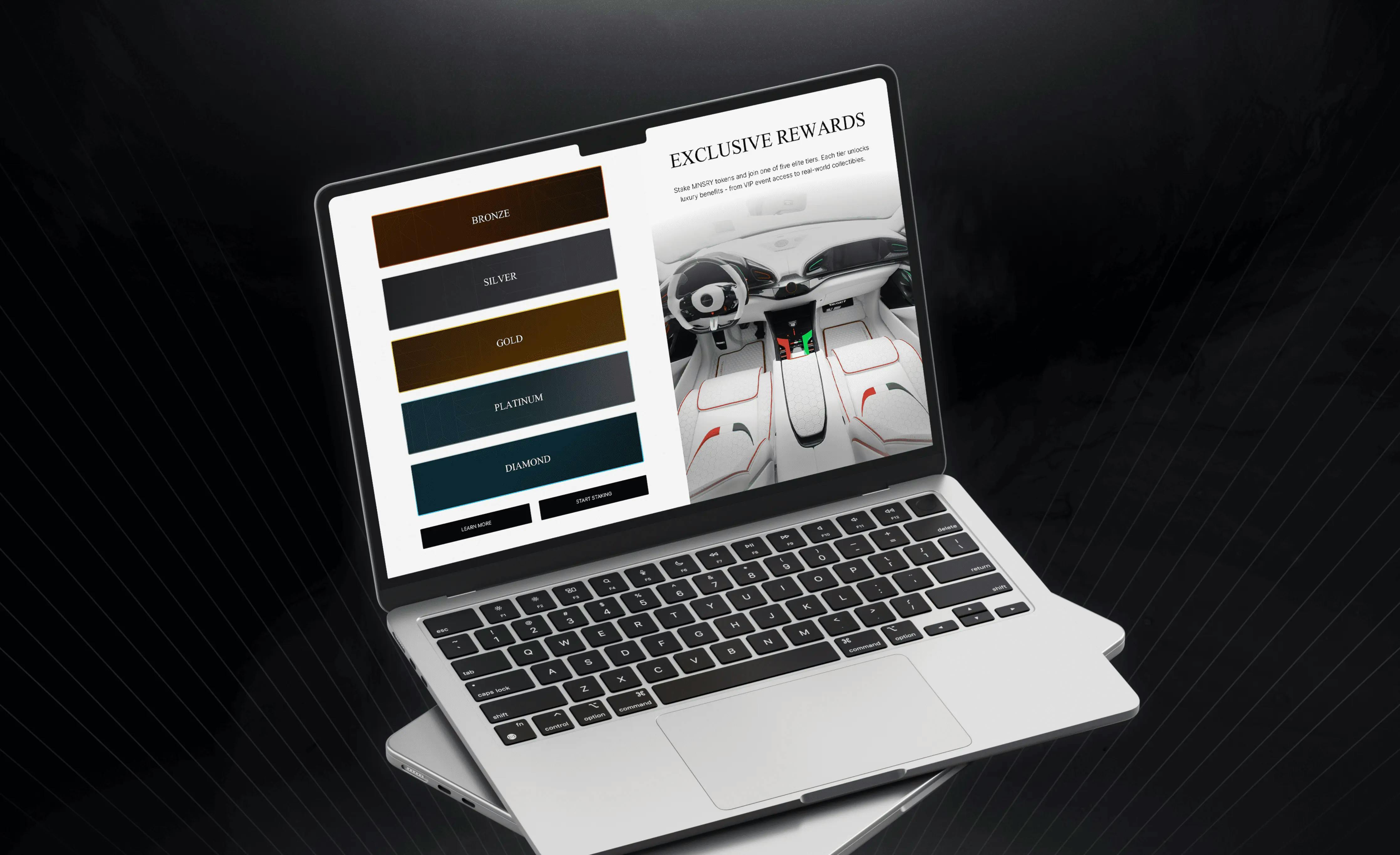 mansory staking website section
