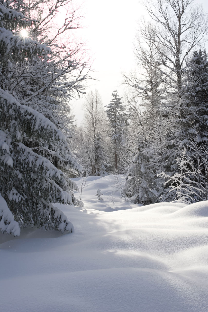 En vinterlandskap från i Trysil, Norge