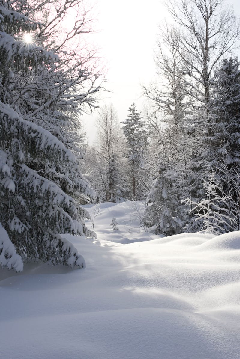 En vinterlandskap från i Trysil, Norge