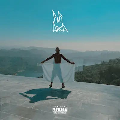 Imagen representando Papi Arca