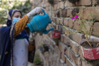 A woman waters flowers growing in cut-out plastic bottles on a brick wall.
