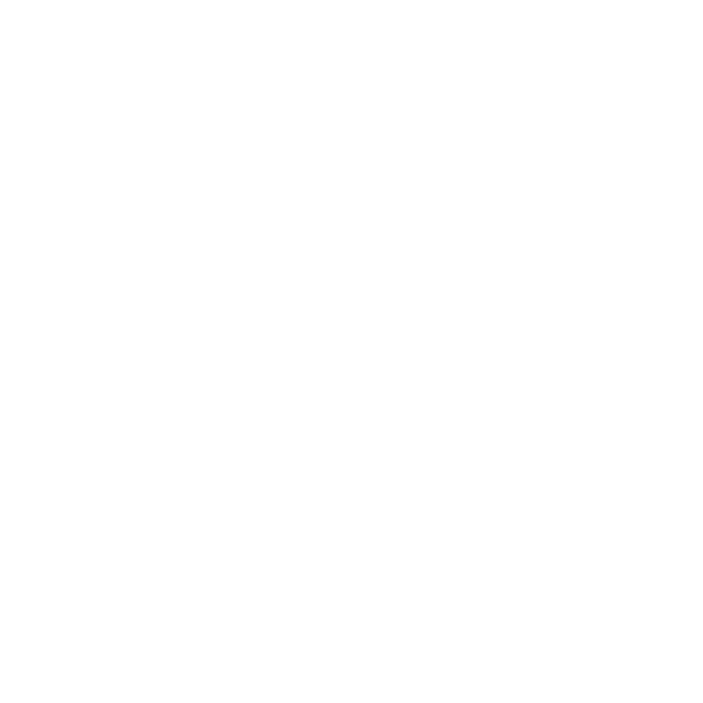 Function Icon