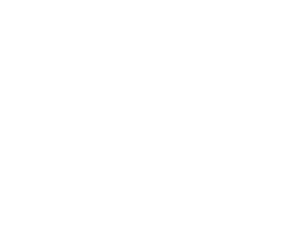 Function Icon