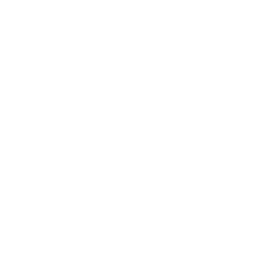 Function Icon