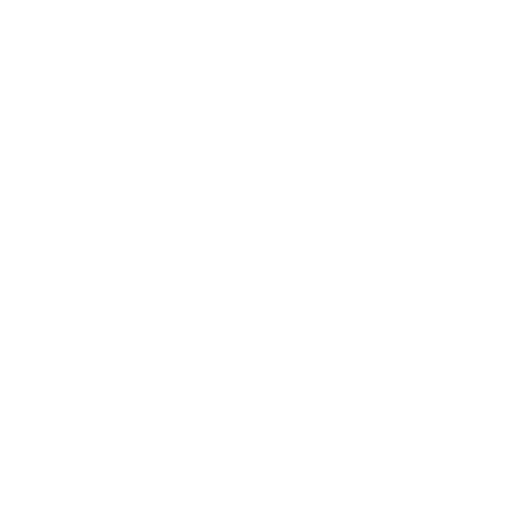 Function Icon