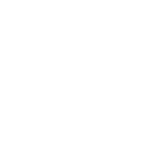 Function Icon