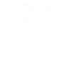 Function Icon