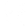 Function Icon