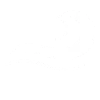 Function Icon