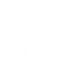 Function Icon