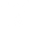 Function Icon