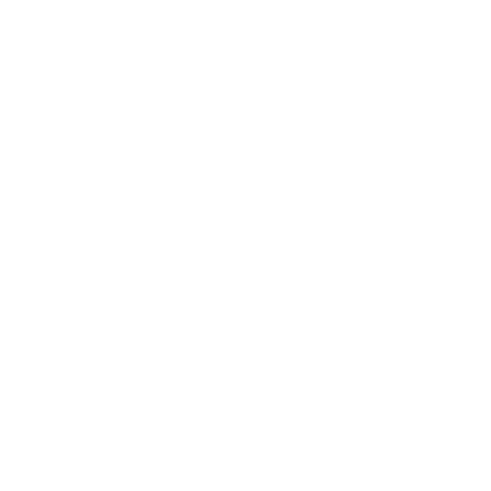 Function Icon