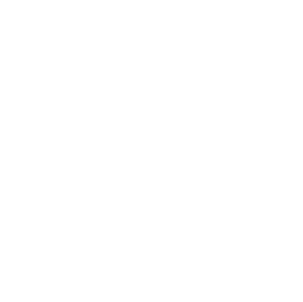 Function Icon