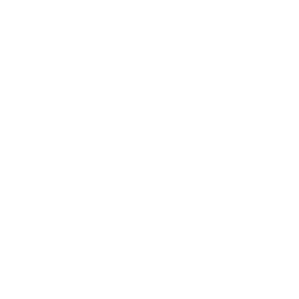 function_icon
