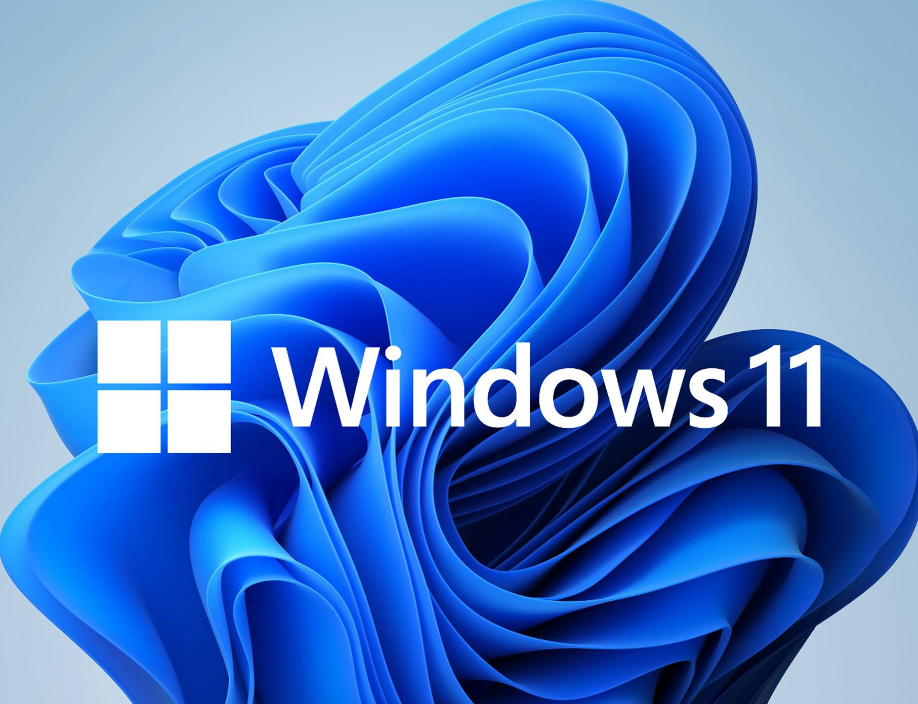 Windows 11 Professionals