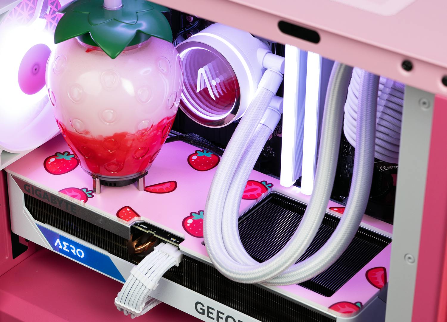 STRAWBERRY GPU BACKPLATE