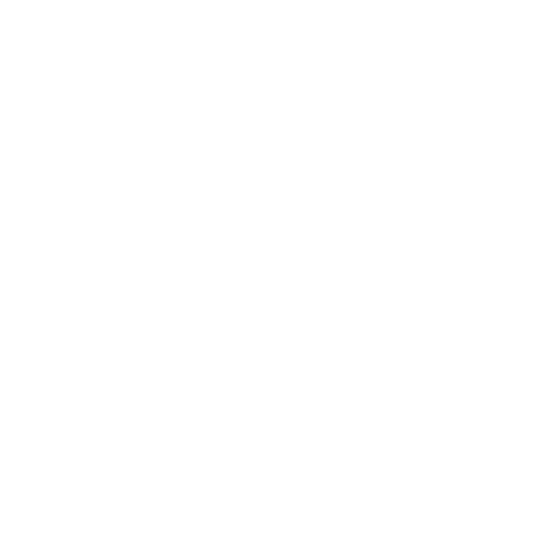 Function Icon