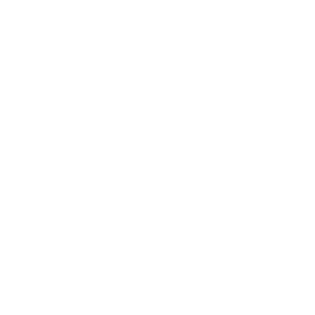 Function Icon