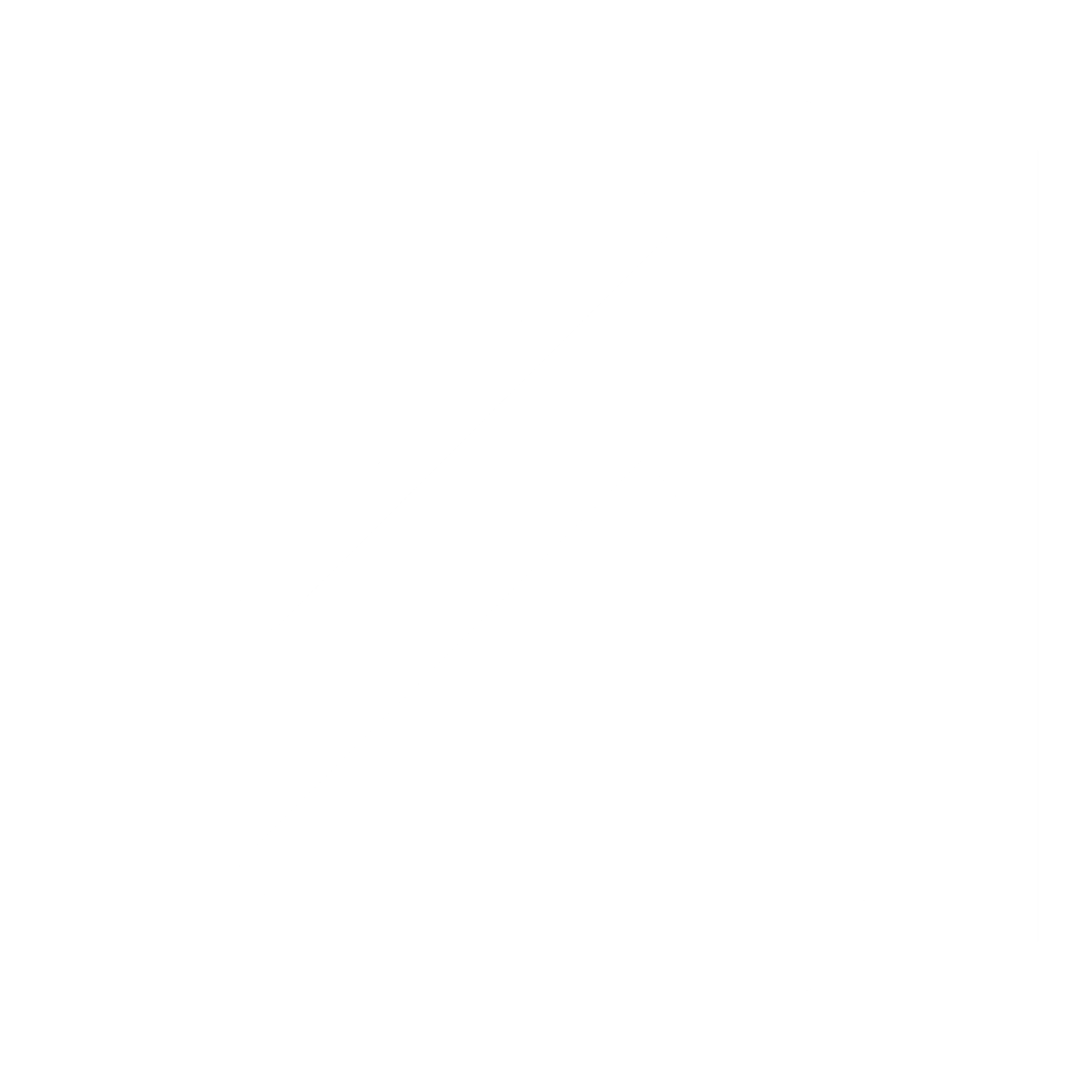 Function Icon