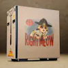 Super Troopers - RIGHT MEOW pc model thumbnail image