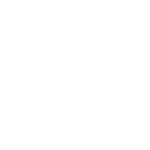 function_icon