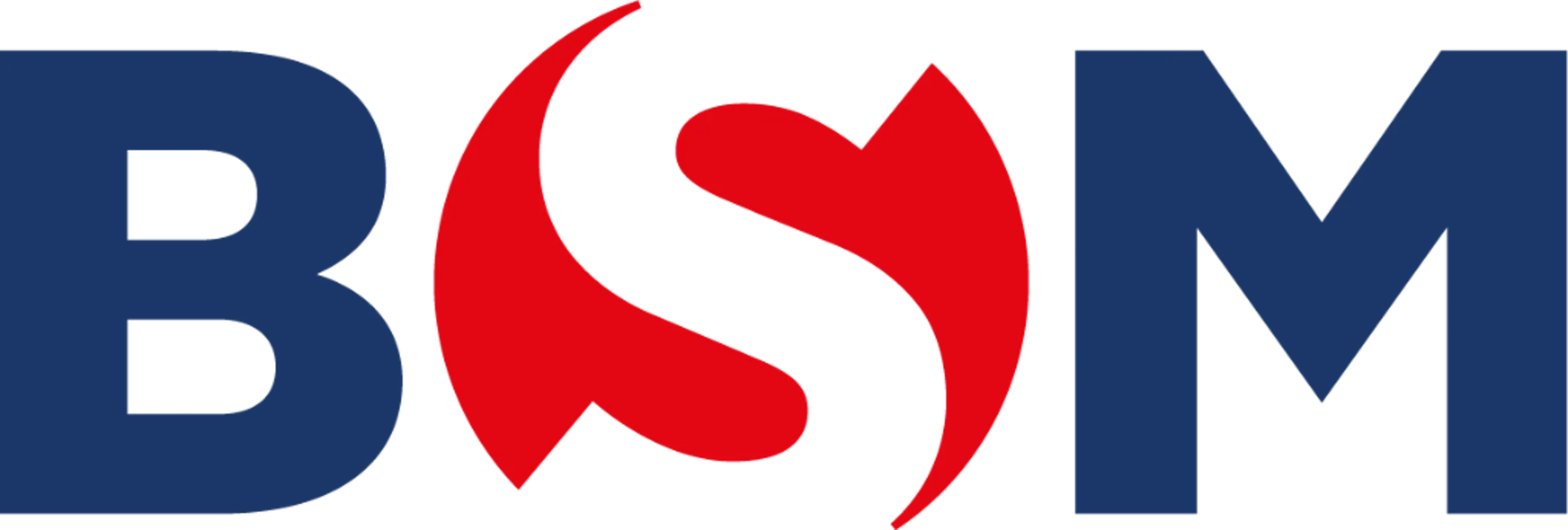 BSM