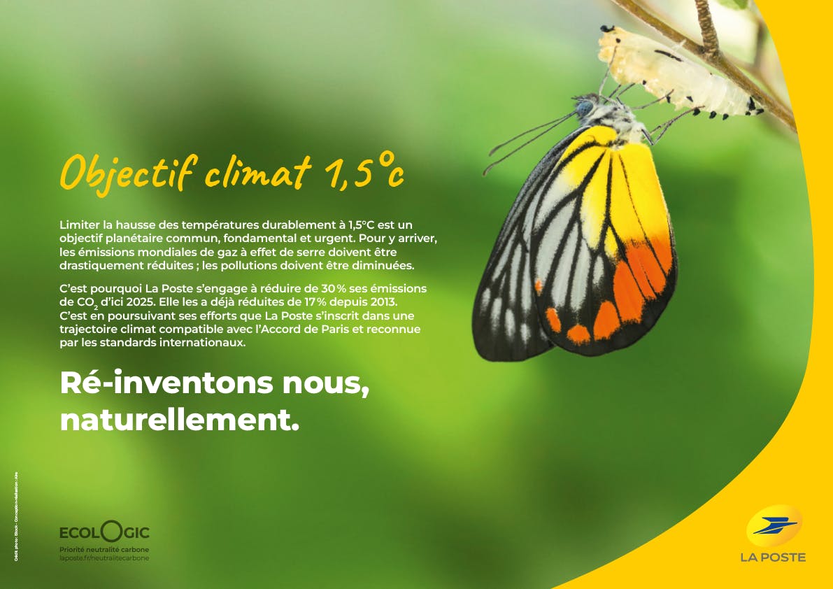 Papillon sortant de sa chrysalide