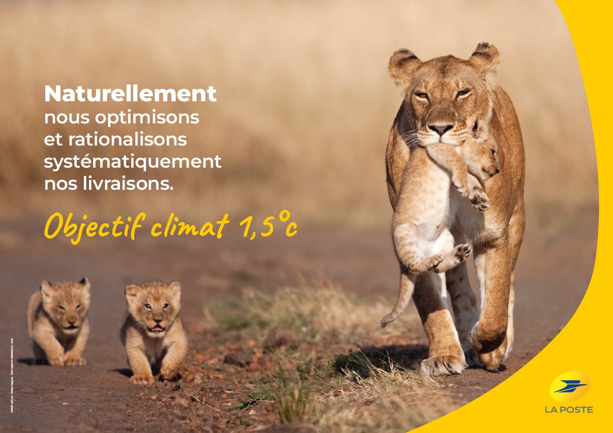 Lionne et ses 3 lionceaux