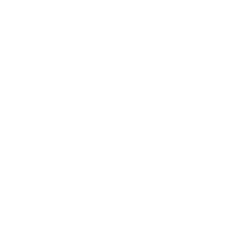 Logo Wordpress