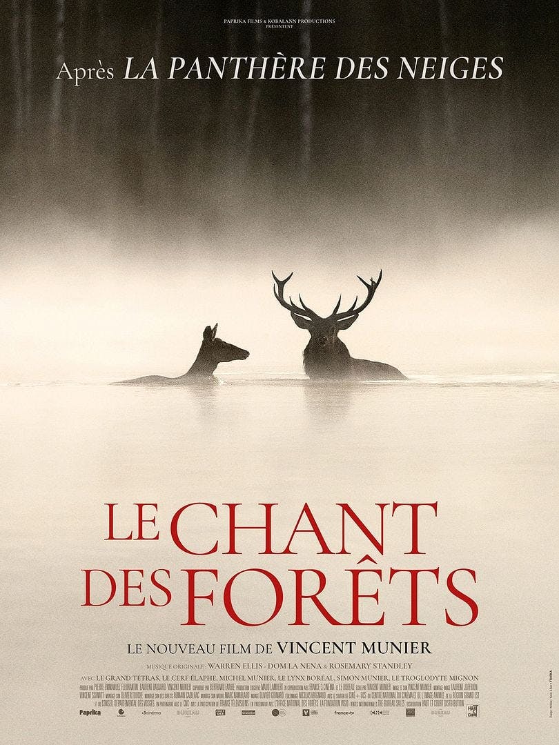 Affiche du film : LE CHANT DES FORÊTS