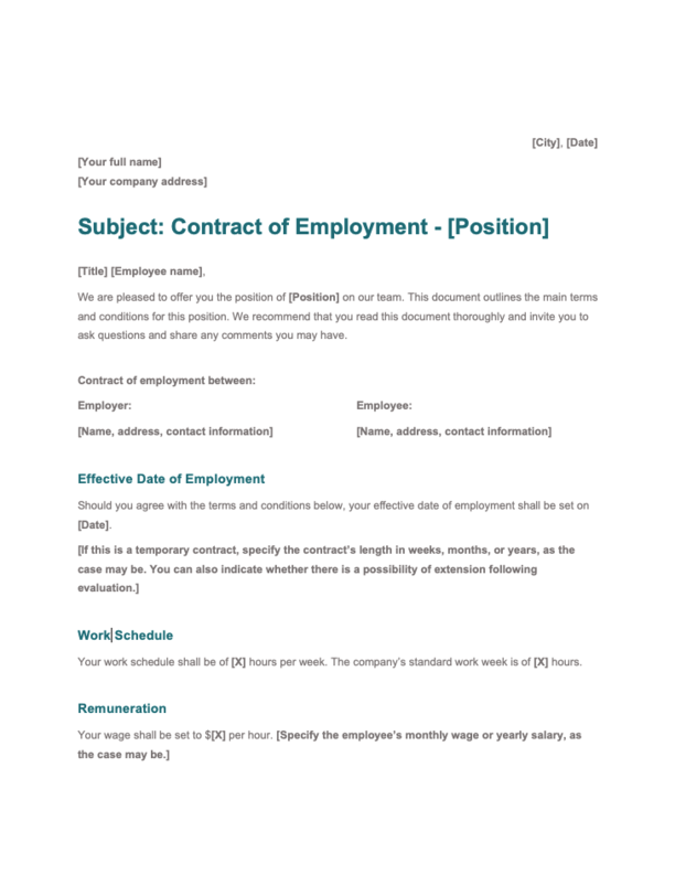 Word Employment Contract of Service Template