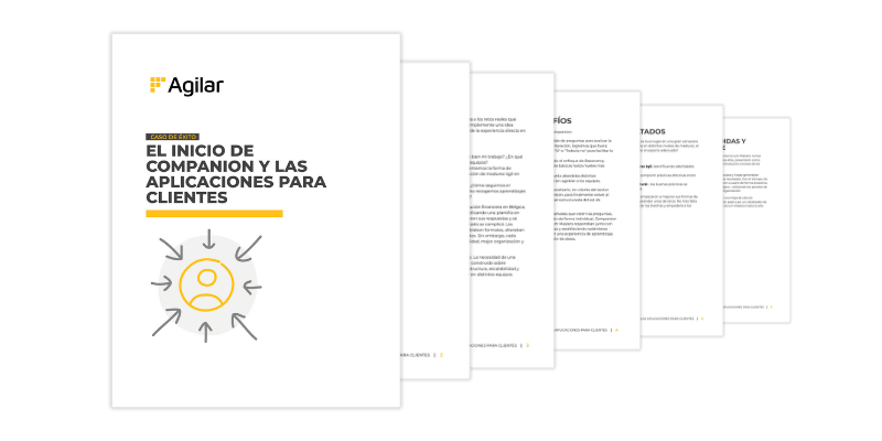 Overview del case study