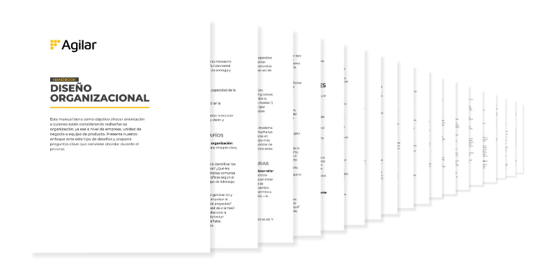 Previsualización Diseño organizacional