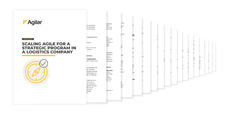 Case study preview pages