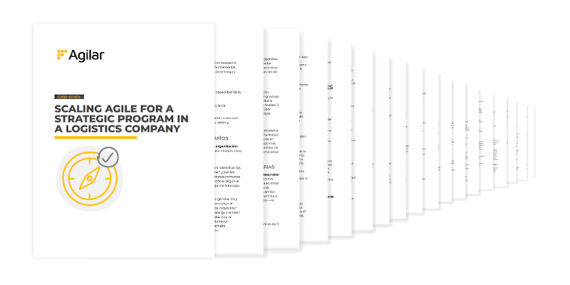Cover Scaling agile for a strategic program in a logstics company