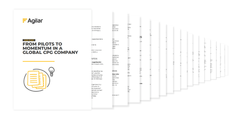Case study overview 