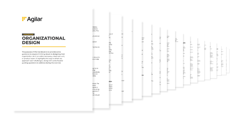 Previsualización Diseño organizational