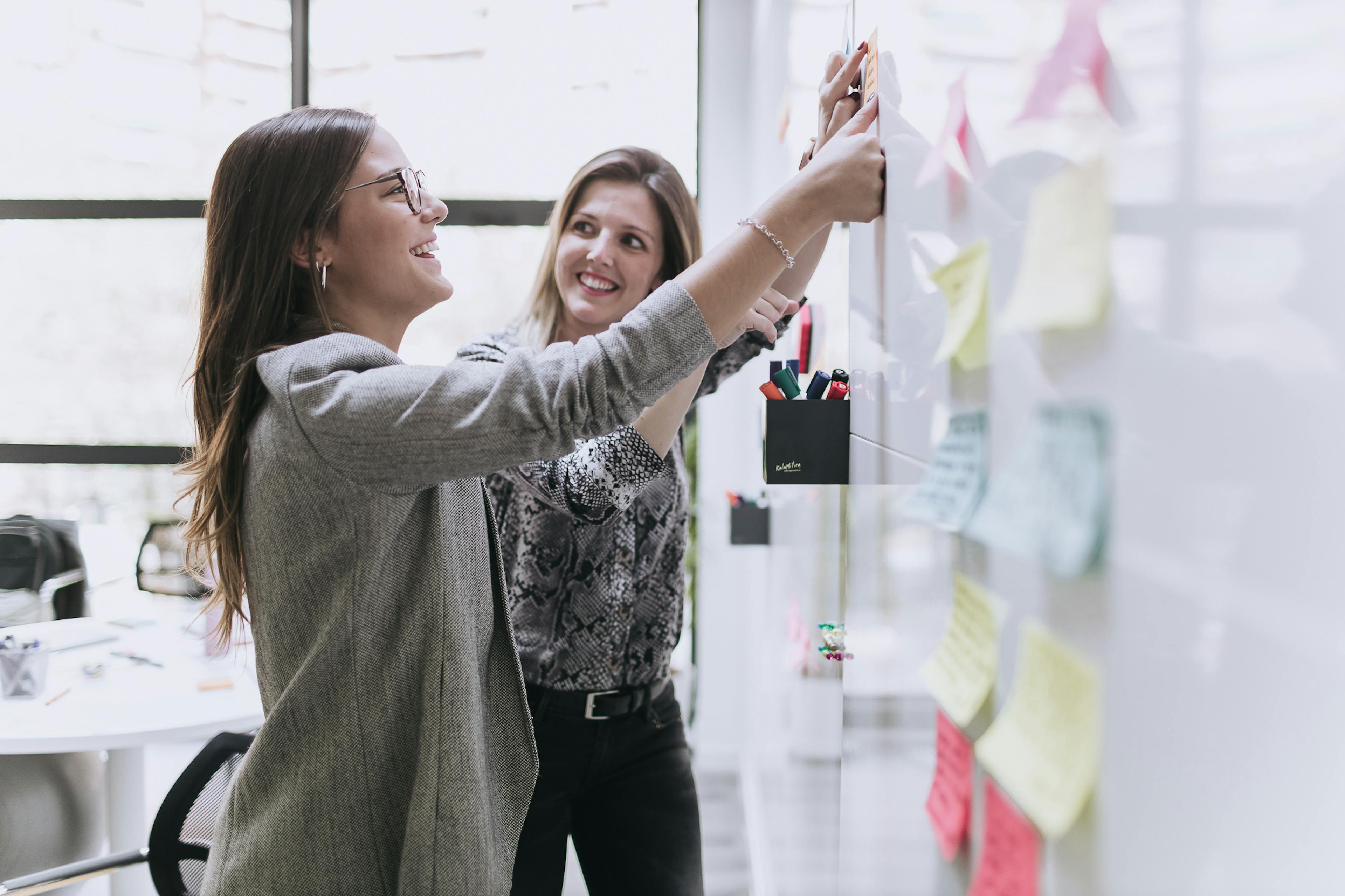 two colleagues working together  