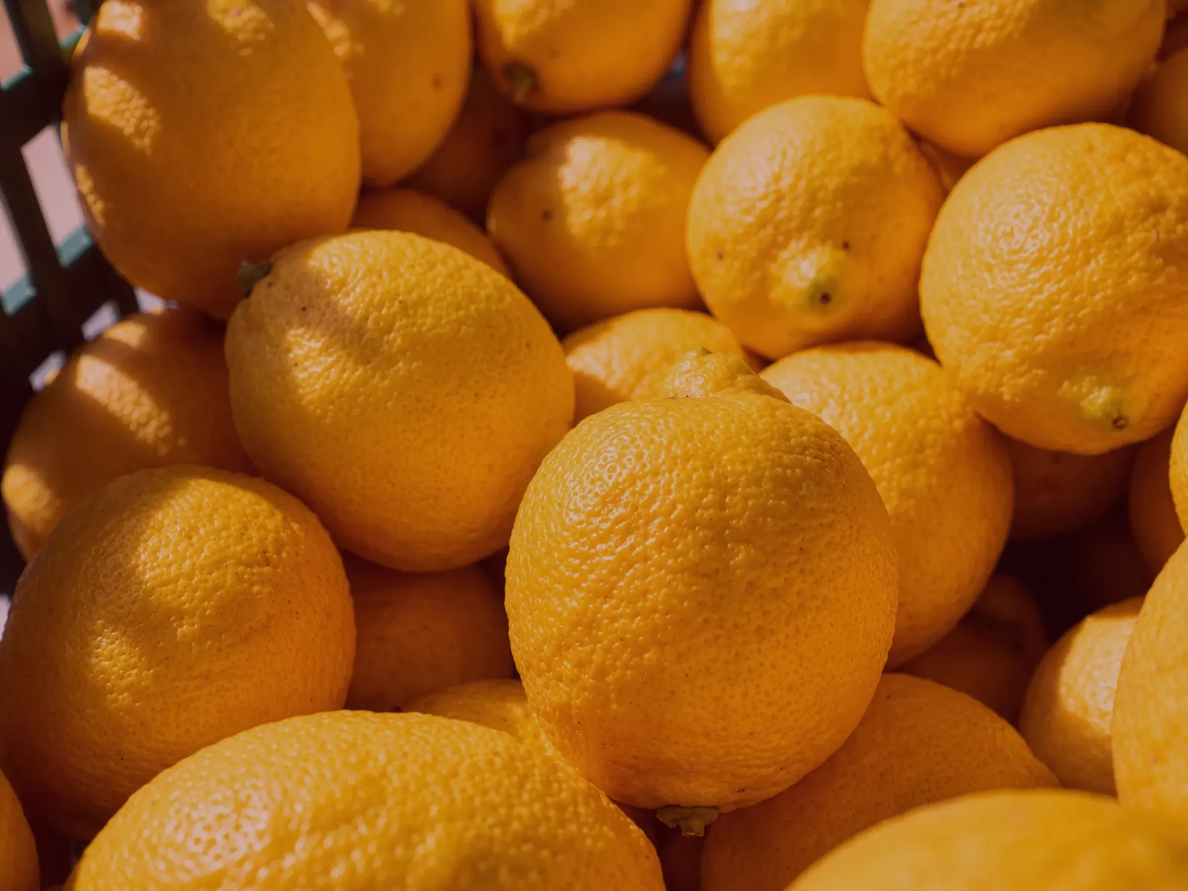Produzione di Agrumi e Frutta Secca siciliani