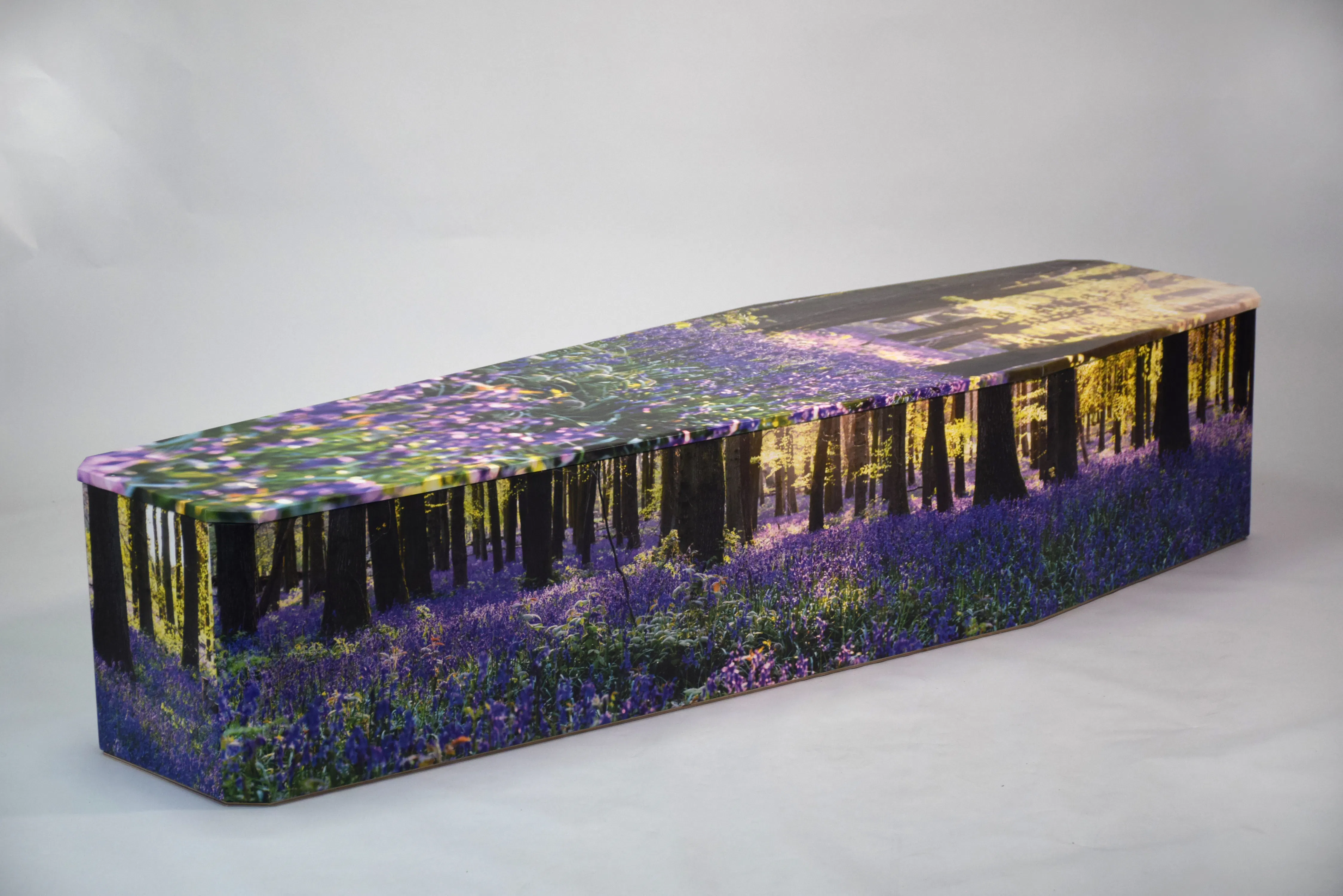 Floral Bluebell 